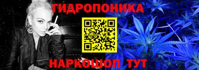 бошки Тверь