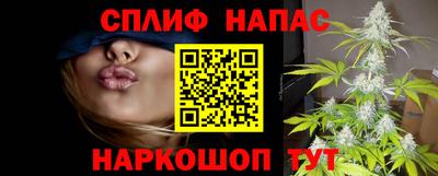 a pvp Тара